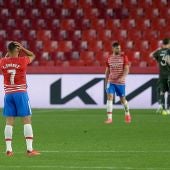 Granada 0 Manchester 2