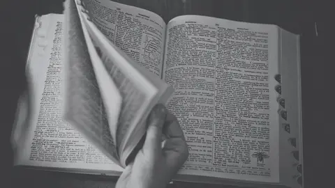 Diccionario Diccionario