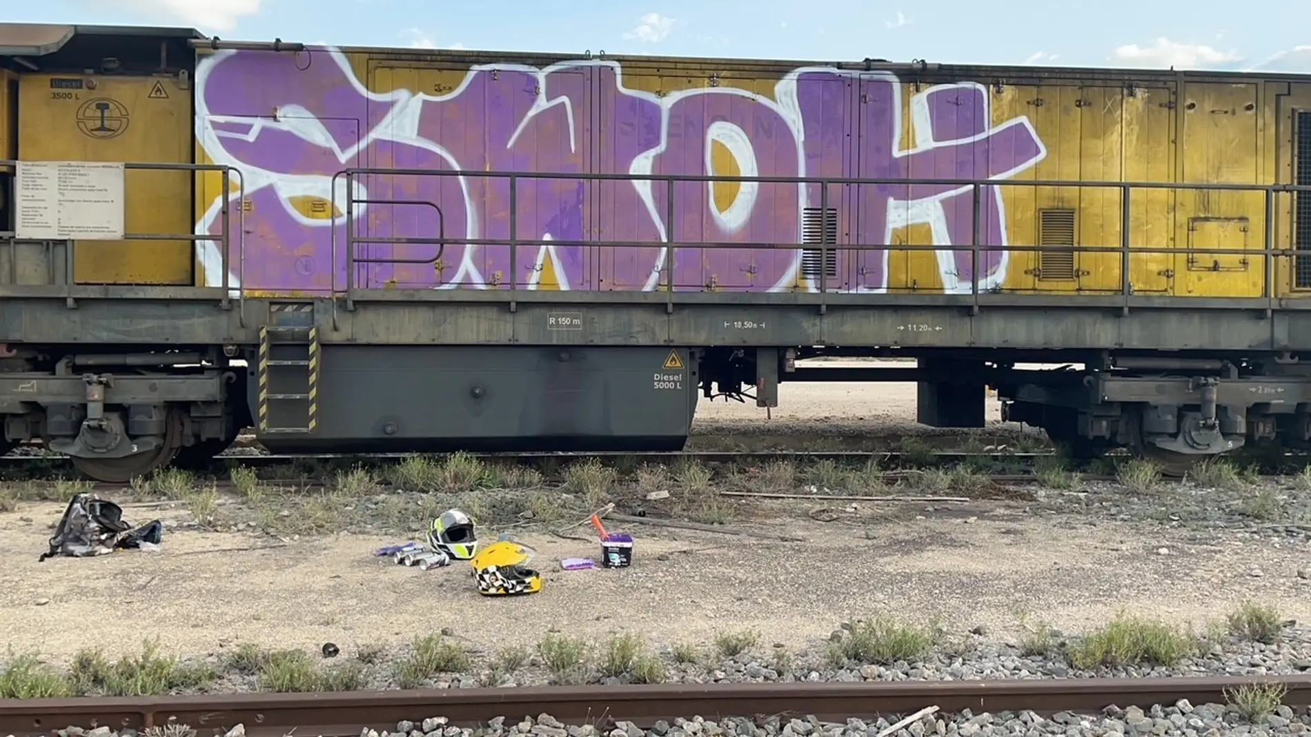 La Policía Local identifica a los autores de los grafitis realizados en dos vagones de un tren en Elche
