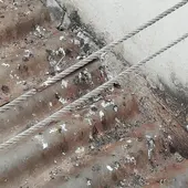 Excrementos de palomas en La Antigua Excrementos de palomas en La Antigua