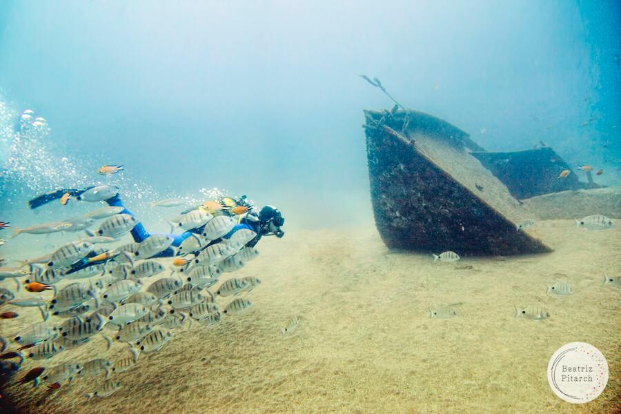 Las maravillas del mundo submarino también se pueden fotografíar Las maravillas del mundo submarino también se pueden fotografíar