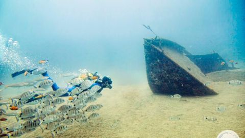 Turismo subacu&aacute;tico en Lanzarote