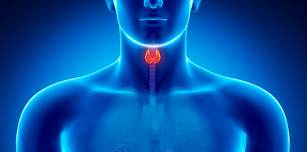 Un Policía Local de Villarrobledo salva la vida a un niño durante una procesión Un Policía Local de Villarrobledo salva la vida a un niño durante una procesión