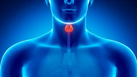 La maniobra de Heimlich puede ayudar a la salvar vidas. La maniobra de Heimlich puede ayudar a la salvar vidas.