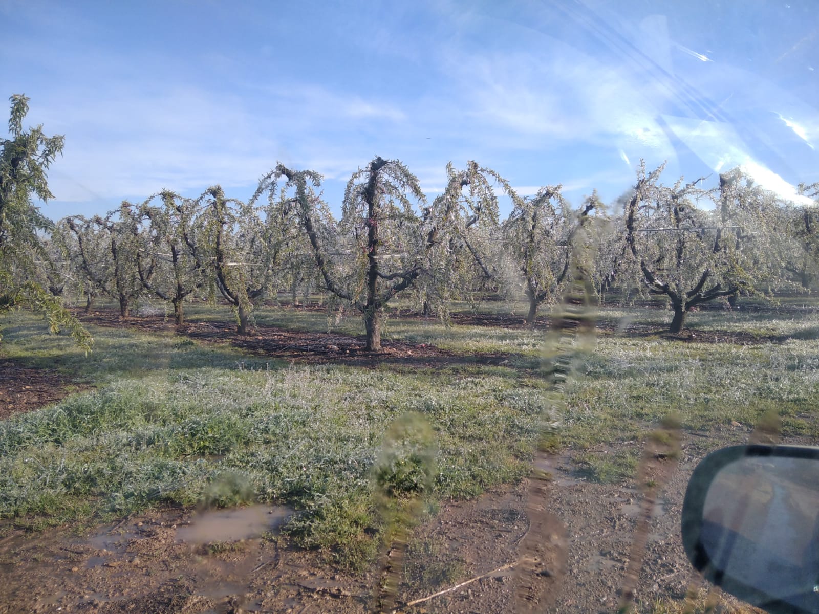 Óscar Moret, UAGA: "la preocupación de los temporeros ha pasado a ser secundaria" Óscar Moret, UAGA: "la preocupación de los temporeros ha pasado a ser secundaria"