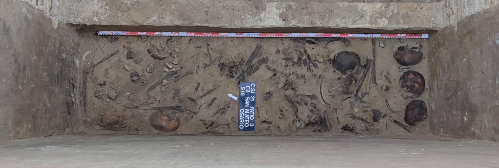 Hallados los restos de cinco represaliados en las medias sepulturas de San José Hallados los restos de cinco represaliados en las medias sepulturas de San José