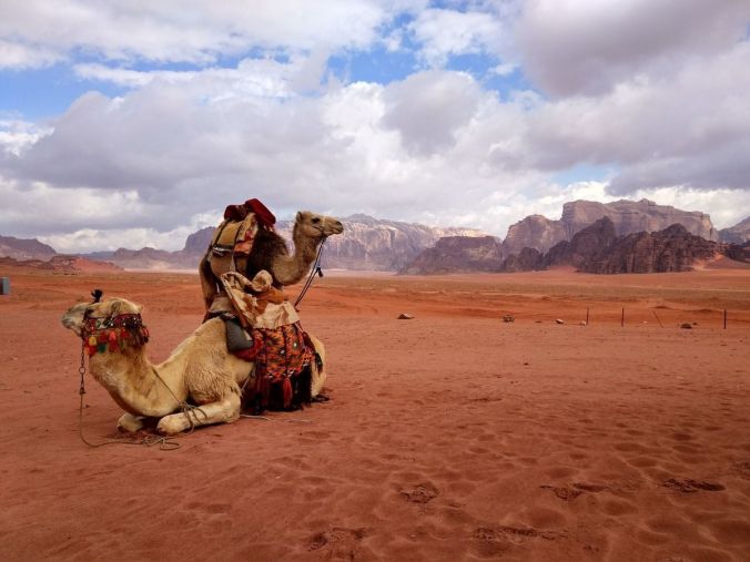 Jordania: mar y desierto Jordania: mar y desierto