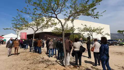 Arranca la vacunación masiva en el Auditorio de Castellón Vacunación Masiva en el Auditorio