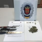 Armas y cogollos encontrados en el vehículo