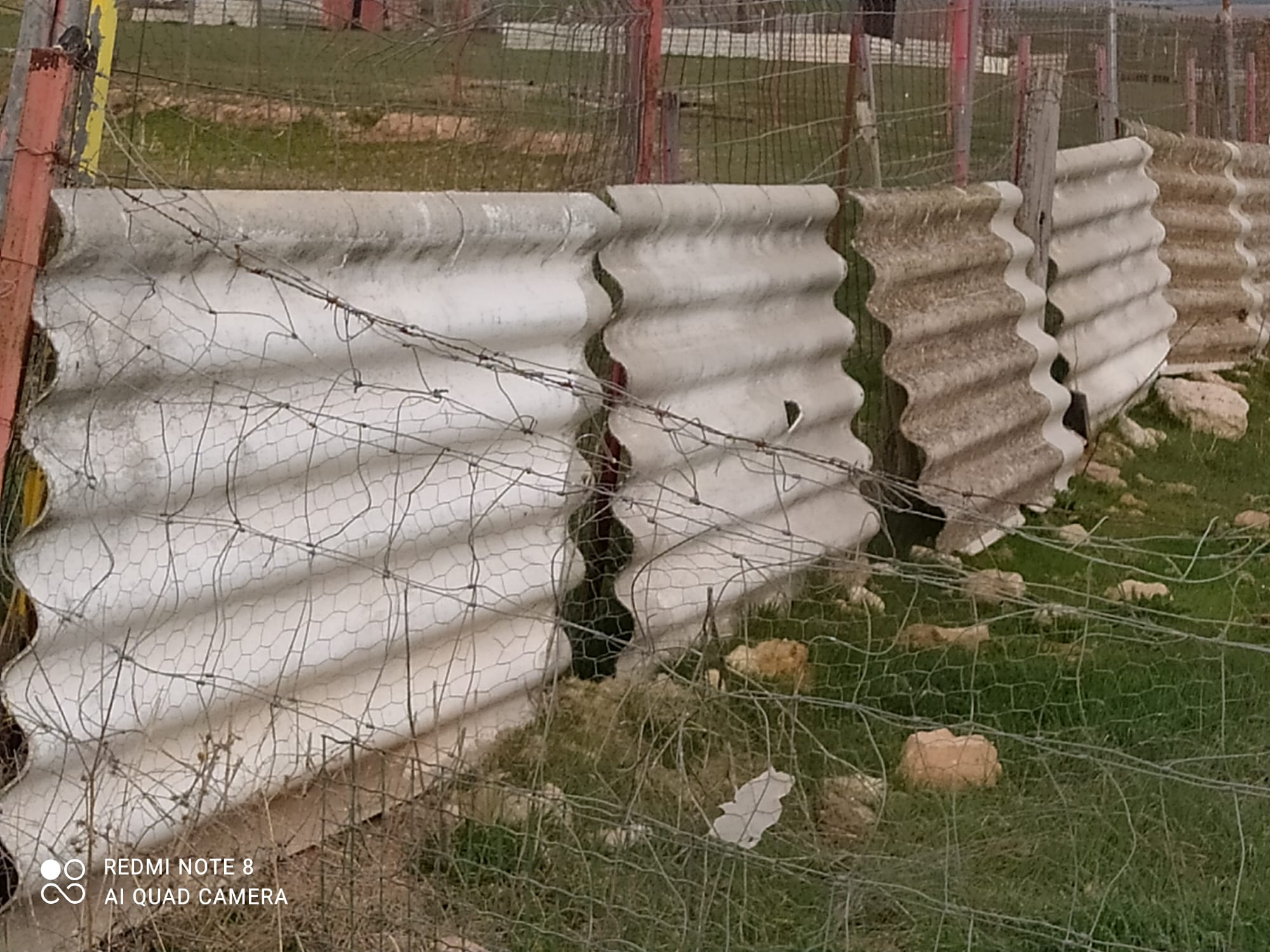 EQUO Alcázar Vecinal se queja en nota de prensa de la indiferencia del PSOE ante sus propuestas EQUO Alcázar Vecinal se queja en nota de prensa de la indiferencia del PSOE ante sus propuestas