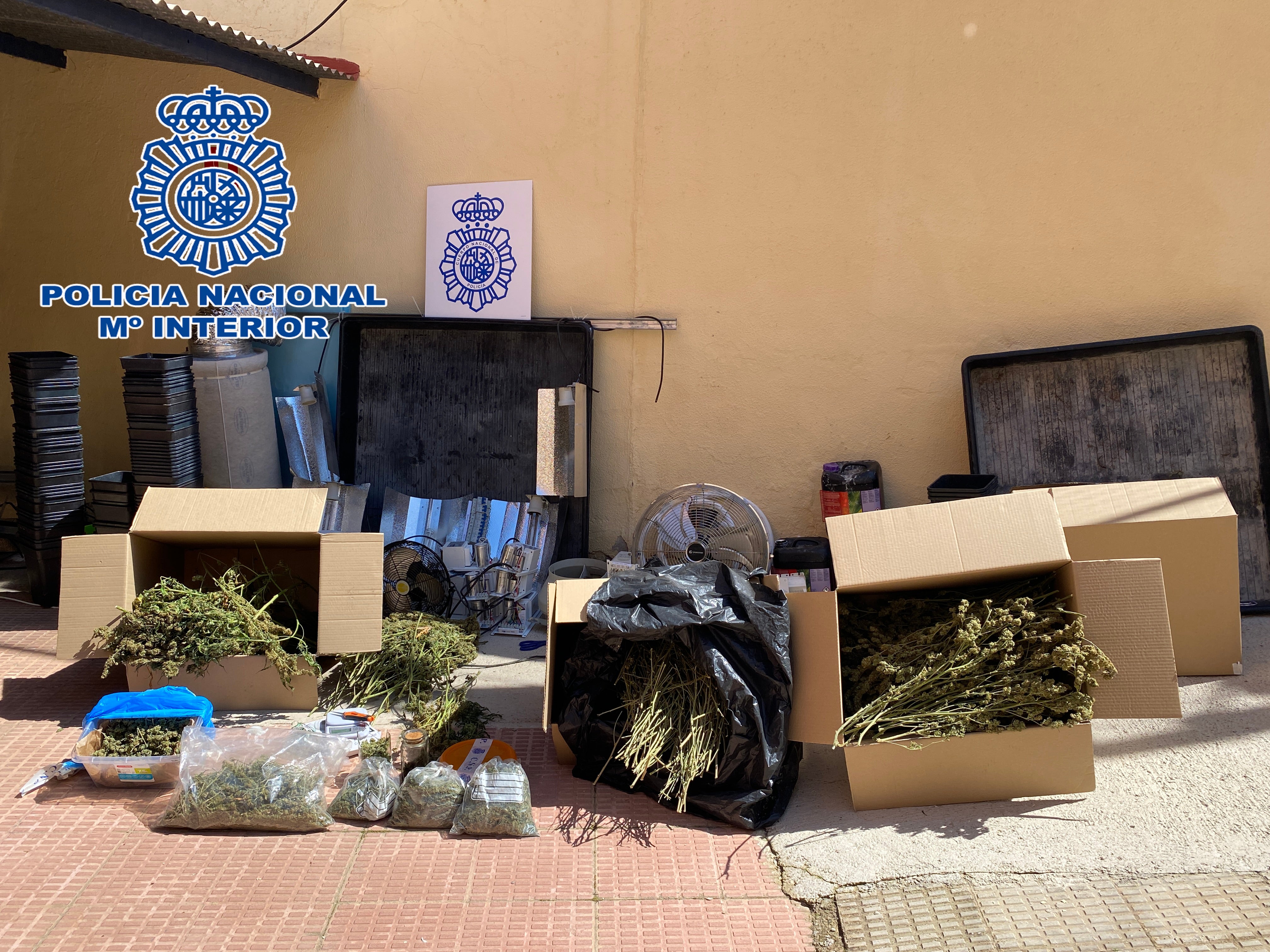 Desmantelan una plantación “indoor” de marihuana en Alcázar de San Juan Desmantelan una plantación “indoor” de marihuana en Alcázar de San Juan