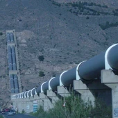 Desde ASAJA Alicante pedimos a Transición Ecológica que aclare que los problemas ambientales del Tajo no se deben al agua que se deriva al sureste, como han querido hacer ver, y no son culpa de los agricultores Desde ASAJA Alicante pedimos a Transición Ecológica que aclare que los problemas ambientales del Tajo no se deben al agua que se deriva al sureste, como han querido hacer ver, y no son culpa de los agricultores