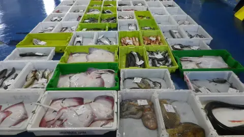 Implantaran “Pescado de Rula” en todas las Cofradías de Asturias. Implantaran “Pescado de Rula” en todas las Cofradías de Asturias.