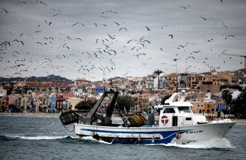 Cofradía de Pescadores y Ayuntamiento de la Vila renuevan sus acuerdos Cofradía de Pescadores y Ayuntamiento de la Vila renuevan sus acuerdos