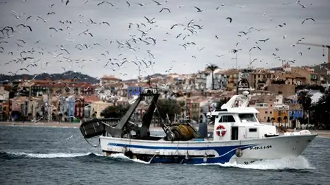 Pesca en LA Vila Joiosa Sector Primario