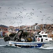Pesca en LA Vila Joiosa Pesca en LA Vila Joiosa