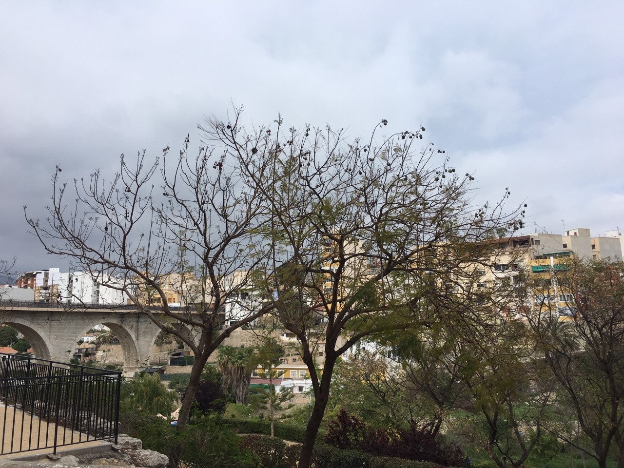 Comienza la semana con lluvia y tormenta en la Marina Baixa Comienza la semana con lluvia y tormenta en la Marina Baixa