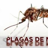 Hablamos con Dámaso Aparicio de esta campaña y de otros proyectos en marcha por la concejalía de medio ambiente Hablamos con Dámaso Aparicio de esta campaña y de otros proyectos en marcha por la concejalía de medio ambiente