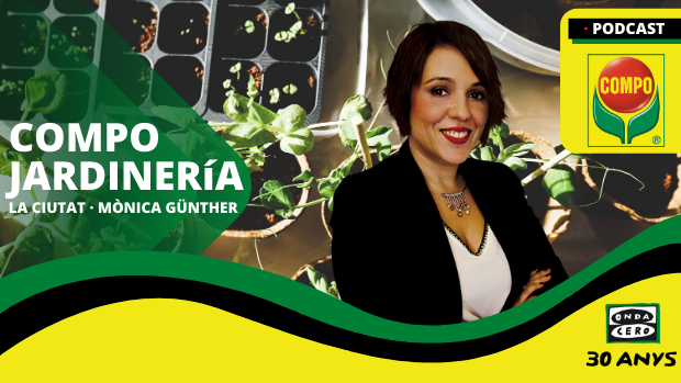 Plantas para crear un ambiente relajado de teletrabajo Plantas para crear un ambiente relajado de teletrabajo