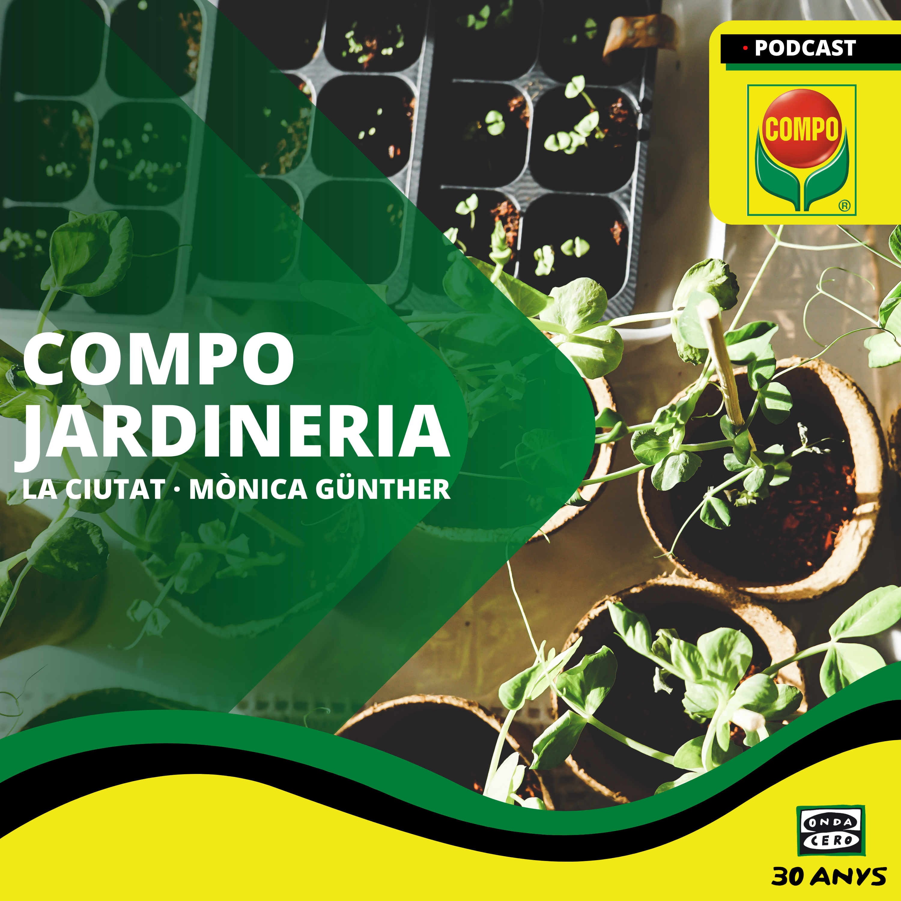 Cuidados para las plantas con flor Cuidados para las plantas con flor