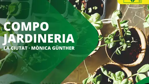 grafisme COMPO portada grafisme COMPO portada