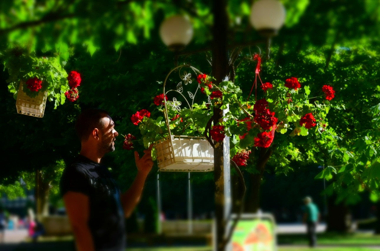 David Navarro: "era periodista y me he reinventado porque quise ser florista" David Navarro: "era periodista y me he reinventado porque quise ser florista"