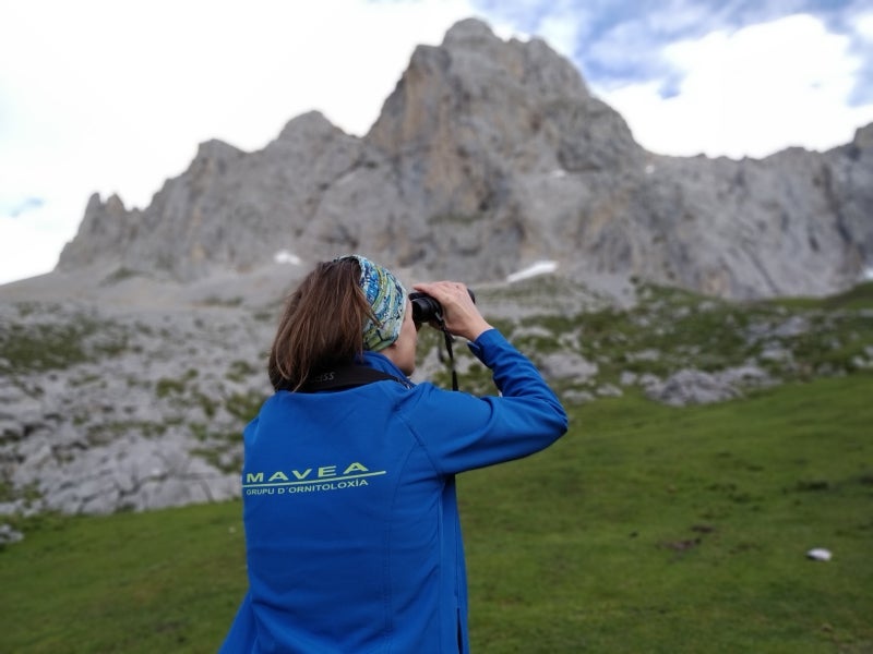 El Grupo de Ornitología Mavea está de aniversario El Grupo de Ornitología Mavea está de aniversario