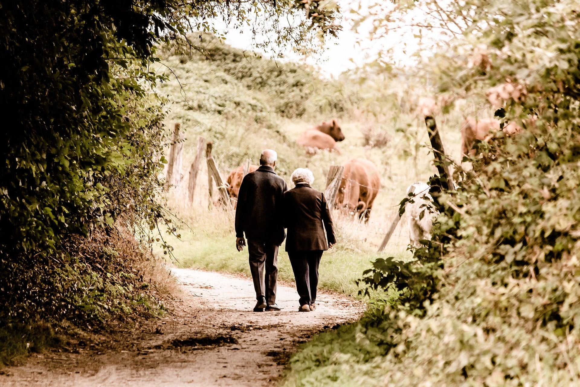 Pensiones: ¿Cuándo se cobran las pensiones en abril y cuál es la cantidad mínima y máxima? Pensiones: ¿Cuándo se cobran las pensiones en abril y cuál es la cantidad mínima y máxima?