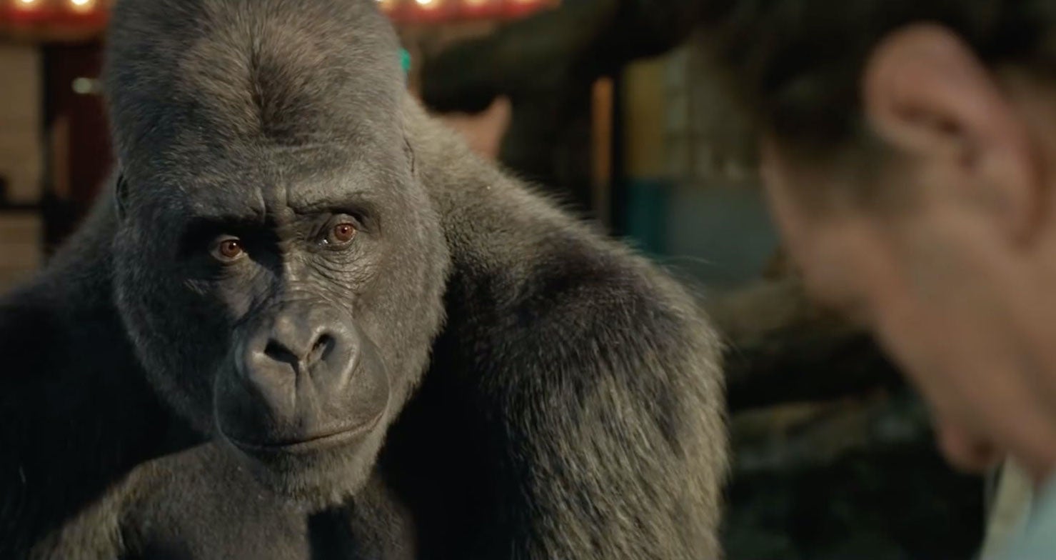 Santiago Colomo Martínez: "Estar nominado al Oscar es estresante y emocionante a la vez" Santiago Colomo Martínez: "Estar nominado al Oscar es estresante y emocionante a la vez"