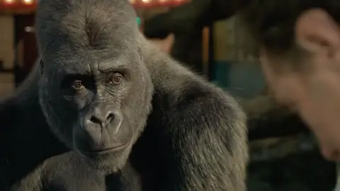 Fotograma de la película 'El magnífico Iván', nominada al Oscar a los Mejores Efectos Visuales en los Oscar 2021 Fotograma de la película 'El magnífico Iván', nominada al Oscar a los Mejores Efectos Visuales en los Oscar 2021