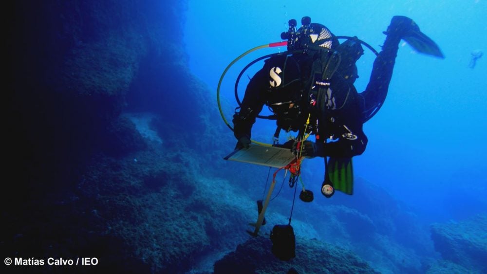 Analizan el impacto del buceo recreativo en Menorca Analizan el impacto del buceo recreativo en Menorca