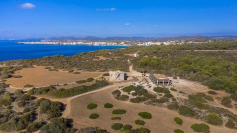 Sa Punta de n&#39;Amer, Área Natural de Especial Interés situada entre Cala Millor y Sa Coma (Mallorca)