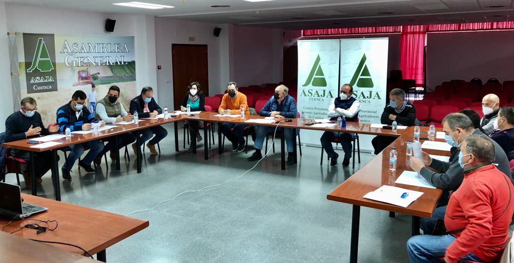Asaja Cuenca no descarta querellas si no se pone freno a los daños de los conejos Asaja Cuenca no descarta querellas si no se pone freno a los daños de los conejos