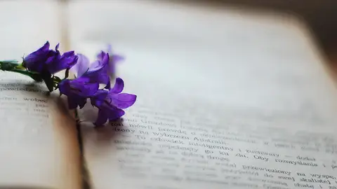 Día del libro Día del libro