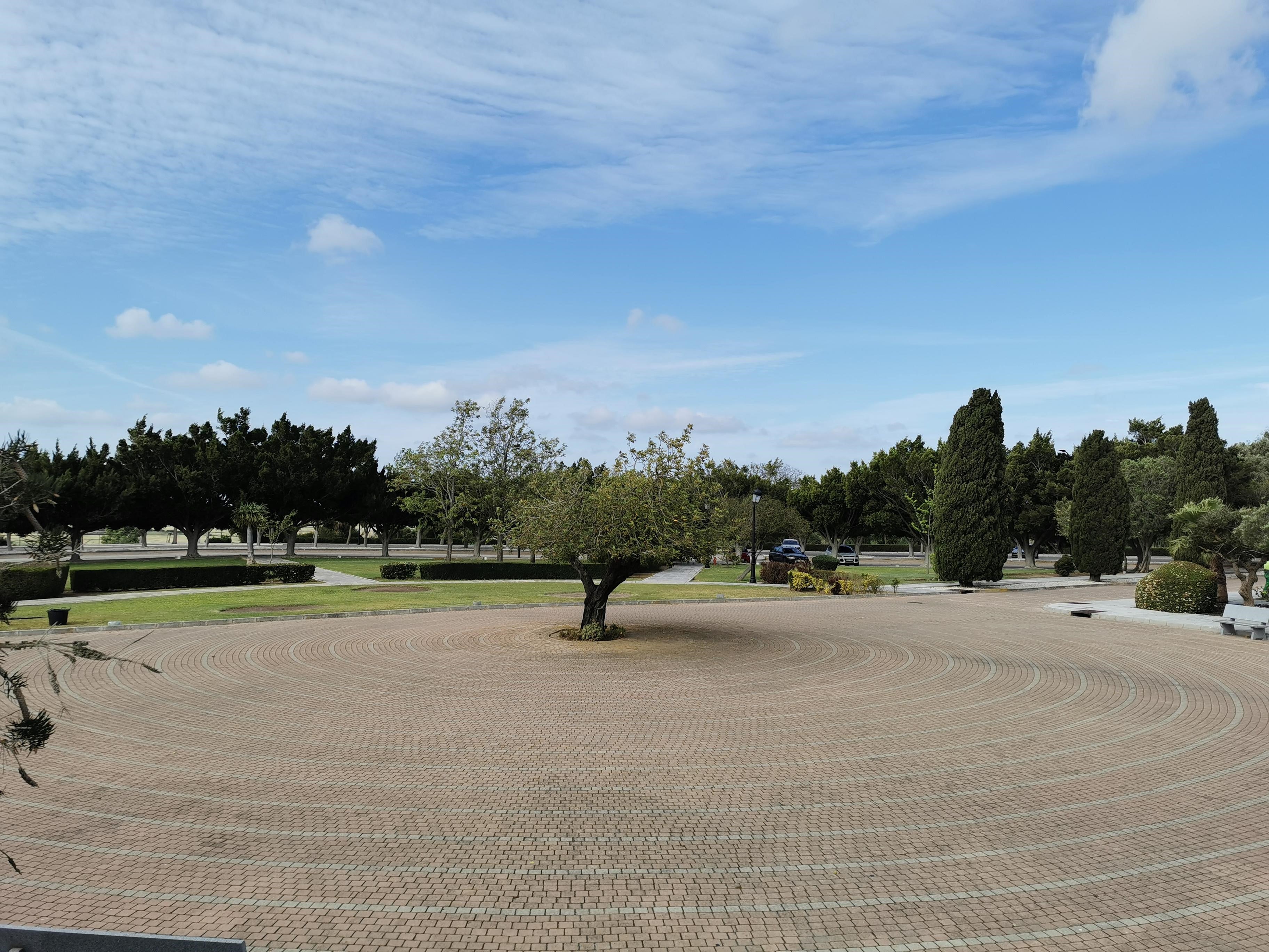 Cemabasa quiere alzar un monumento que recuerde a las víctimas del coronavirus Cemabasa quiere alzar un monumento que recuerde a las víctimas del coronavirus