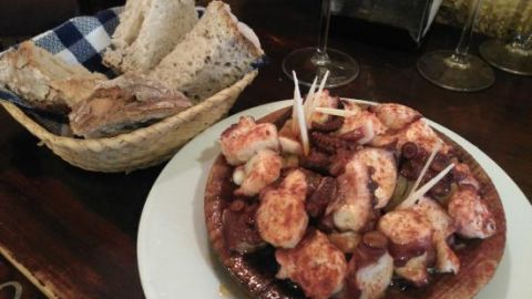 a casa do pulpo