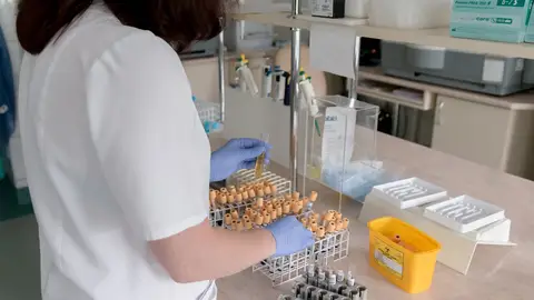 Imagen de una mujer en un laboratorio Imagen de una mujer en un laboratorio