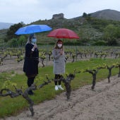 A xerente do Inorde e a presidenta do Consello Regulador visitan o viñedo experimental de Monterrei