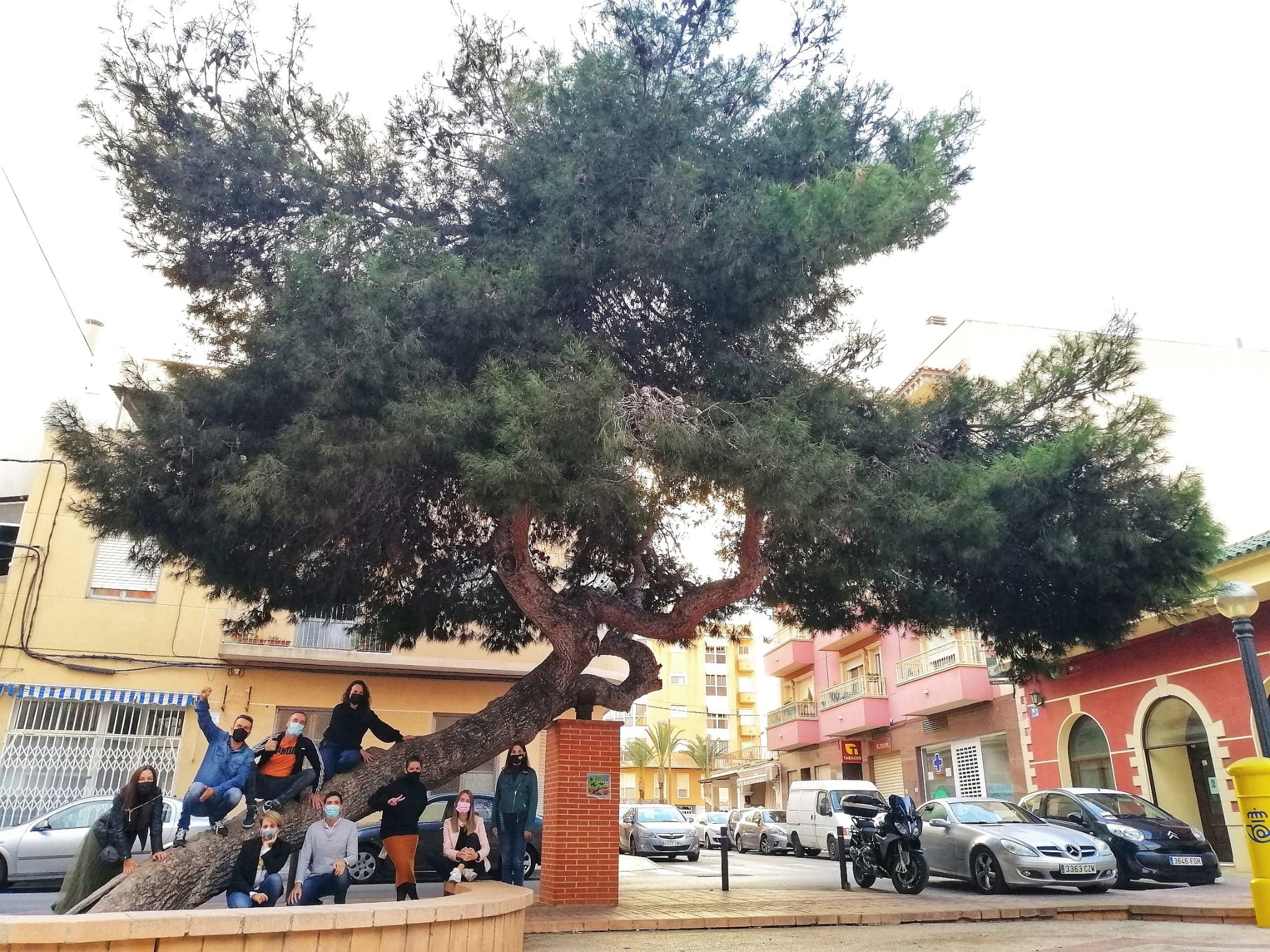 ACD La Hoya y Baia Jovens organizan ‘Fent’Elx. Jornades d’associacionisme i joventut’ ACD La Hoya y Baia Jovens organizan ‘Fent’Elx. Jornades d’associacionisme i joventut’