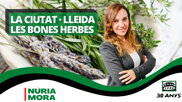 Remeis naturals amb el naturòpata Albert Rami Remeis naturals amb el naturòpata Albert Rami