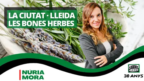 bones herbes ok bones herbes ok