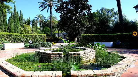 Real Jardín botánico Córdoba en mayi