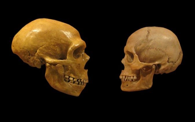 Mercedes Conde: "Los neandertales se parecían más a nosotros que a los monos" Mercedes Conde: "Los neandertales se parecían más a nosotros que a los monos"