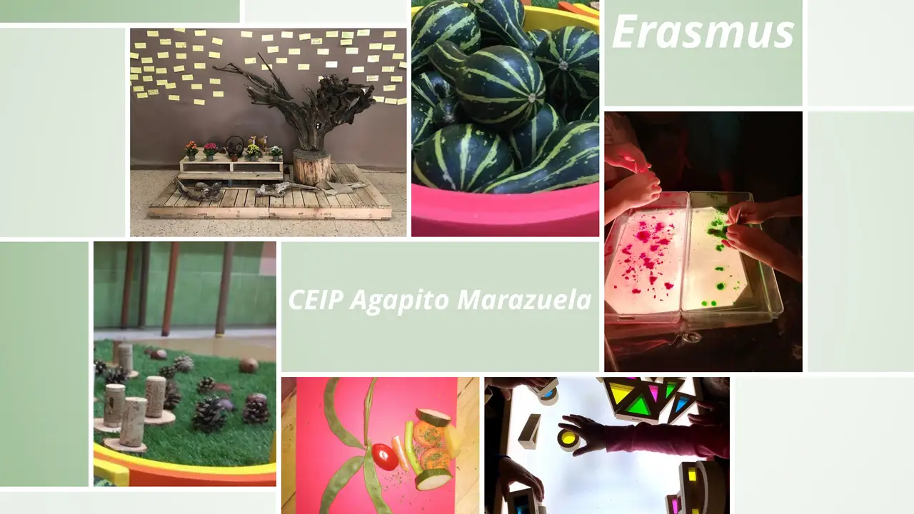Eramus del CEIP Agapito Marazuela Eramus del CEIP Agapito Marazuela