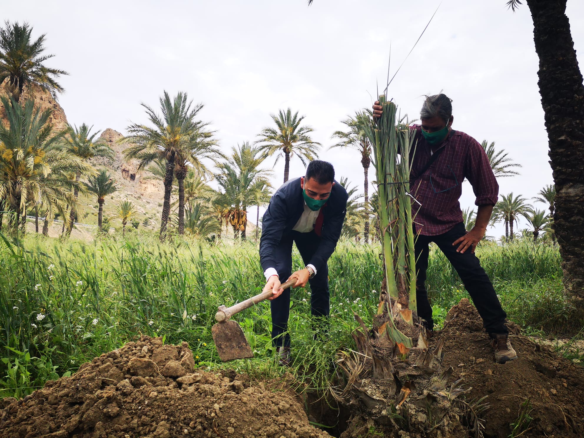 Tiene por objeto, como su propio nombre indica, que cada municipio plante al menos un árbol al año Tiene por objeto, como su propio nombre indica, que cada municipio plante al menos un árbol al año