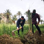 Tiene por objeto, como su propio nombre indica, que cada municipio plante al menos un árbol al año 