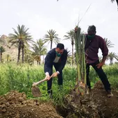 Tiene por objeto, como su propio nombre indica, que cada municipio plante al menos un árbol al año Tiene por objeto, como su propio nombre indica, que cada municipio plante al menos un árbol al año