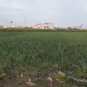 El banco de tierras de València languidece a los tres años de su creación