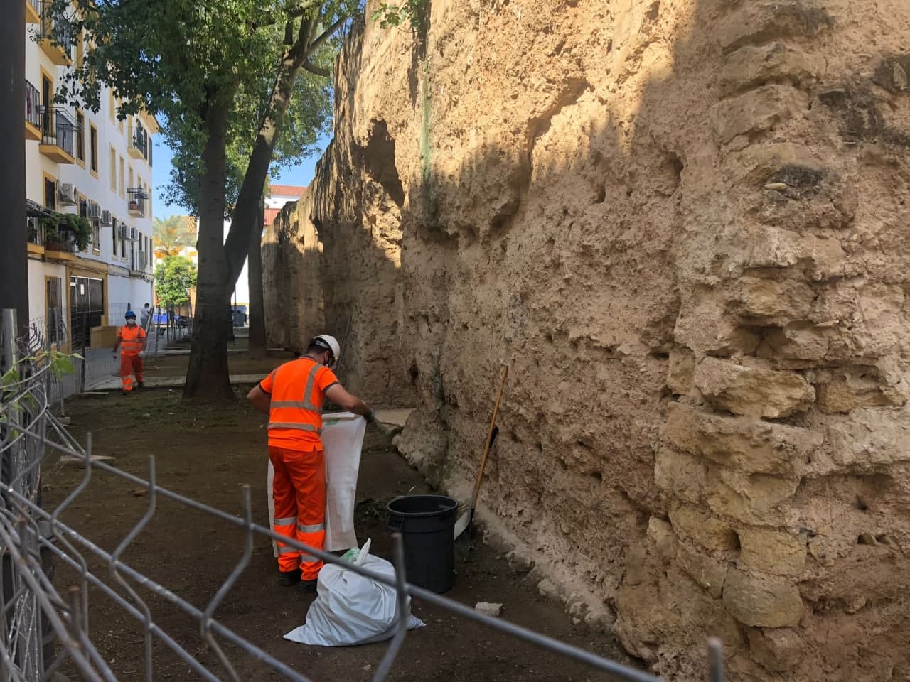Limpieza del lienzo de la muralla de la Axerquía Limpieza del lienzo de la muralla de la Axerquía