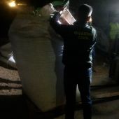 Desarticulada por la Guardia Civil en Jerez una organización dedicada a transportar grandes cantidades de marihuana 